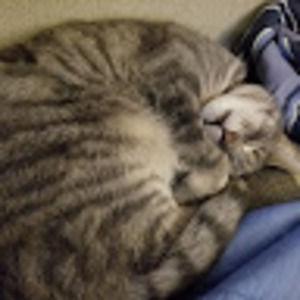 Meet your Posher, Shannon